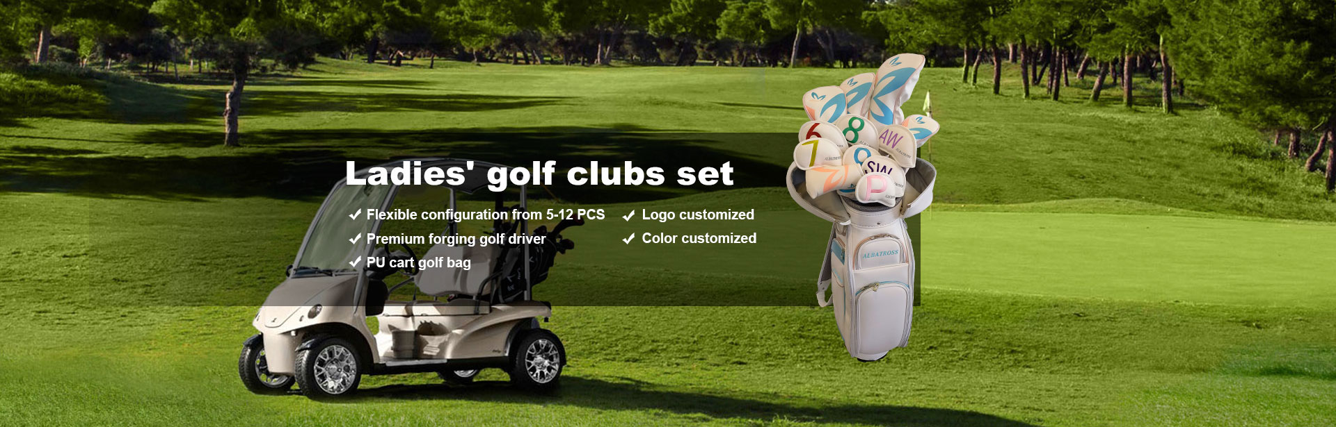 Set di mazze da golf da donna cinesi