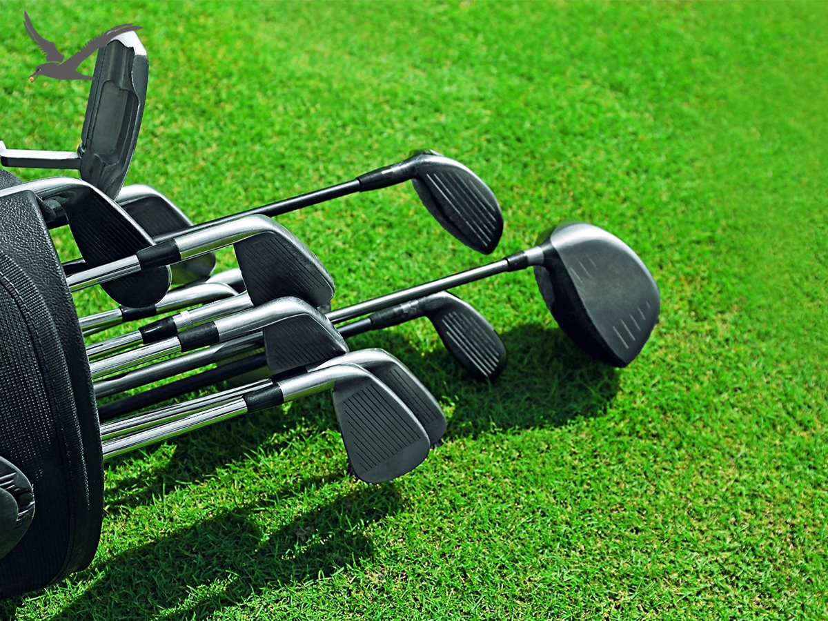 Informazioni su diplomi di club di golf