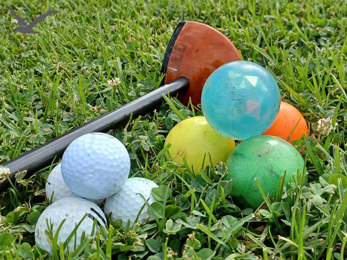 Diversità delle palline da golf del parco