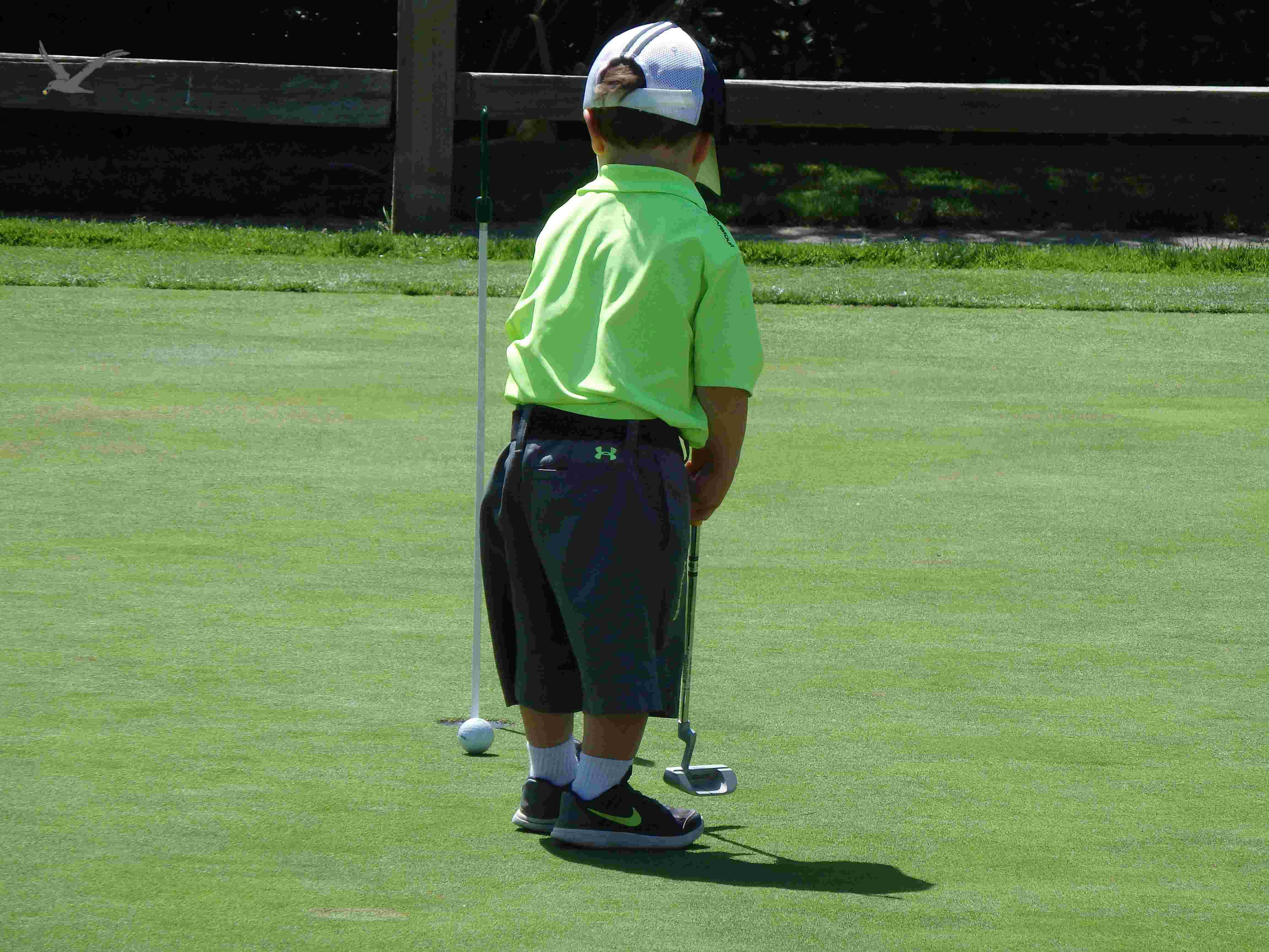 The Albatross Sports frantuma 9 miti da golf riscopri il gioco